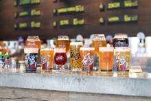 Nos prestations sur le secteur de Saclay 91400 dans l'Essonne